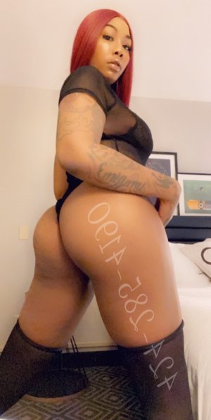 Dayanna hotel escorts in Troy, OH